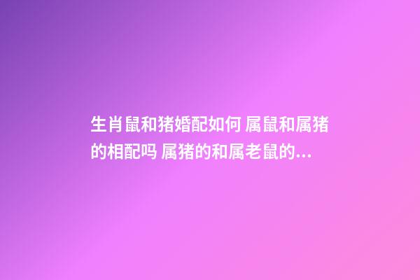 生肖鼠和猪婚配如何 属鼠和属猪的相配吗 属猪的和属老鼠的婚姻相配吗-第1张-观点-玄机派